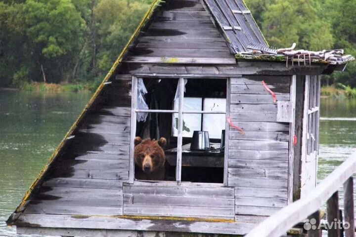 Камчатка. Джип-туры