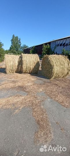 Сено в рулонах с доставкой