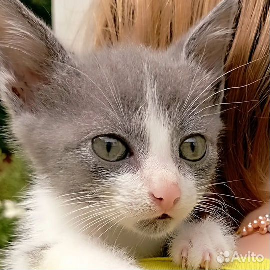 Котодевчулька ждёт мам пап