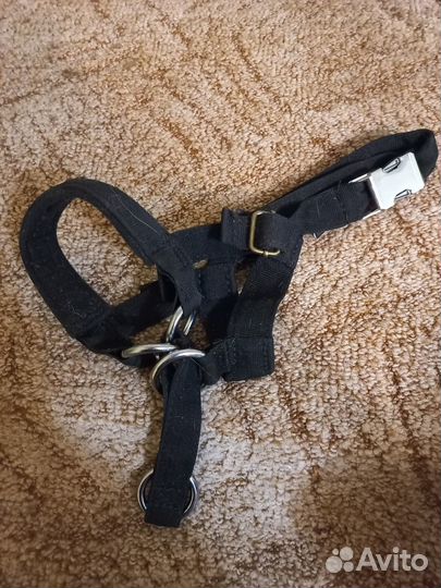 Недоуздок для собак