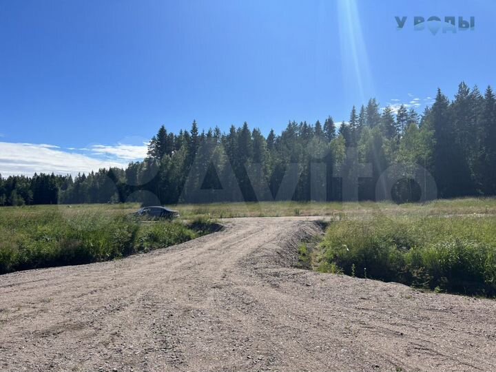 Участок 13,3 сот. (СНТ, ДНП)