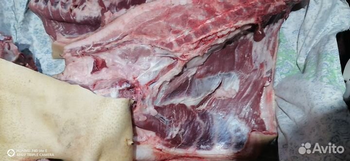 Мясо свинина домашняя