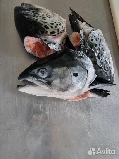 Продукты питания