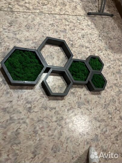 Полки соты, панно со мхом