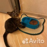 Коврик для животных