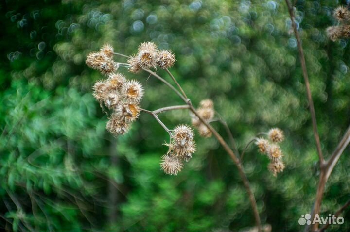 Объектив окс-35-1 для Sony E