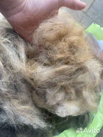Собачья шерсть пух