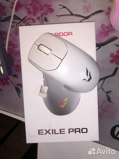 Ardor gaming Exile pro