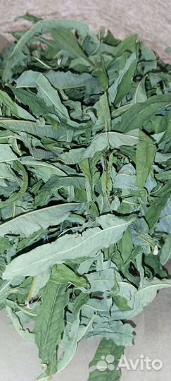 Липа, череда, Иван-чай,шалфей,ромашка,чабрец, мята