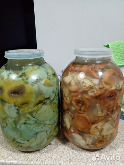 Грибы соленые