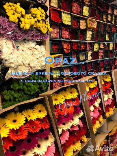 Цветы букеты гипсофила