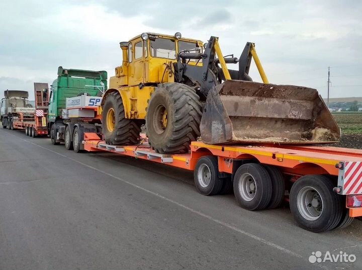 Трал Перевозка Спецтехники Негабаритные Перевозки