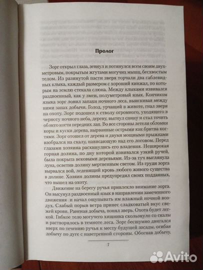 Книга. Фэнтези. Игорь Чужин «Странник»