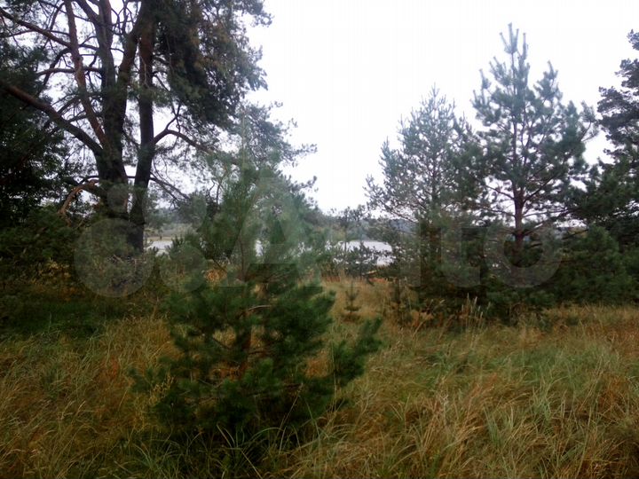 Участок 4 га (СНТ, ДНП)