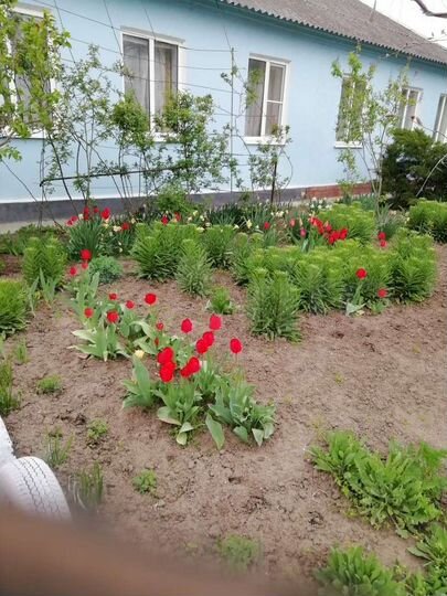 Дом 50 м² на участке 9 сот.