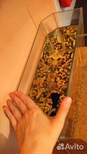 Аквариум готовый с рыбками