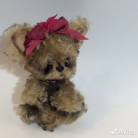 Йоркширский терьер