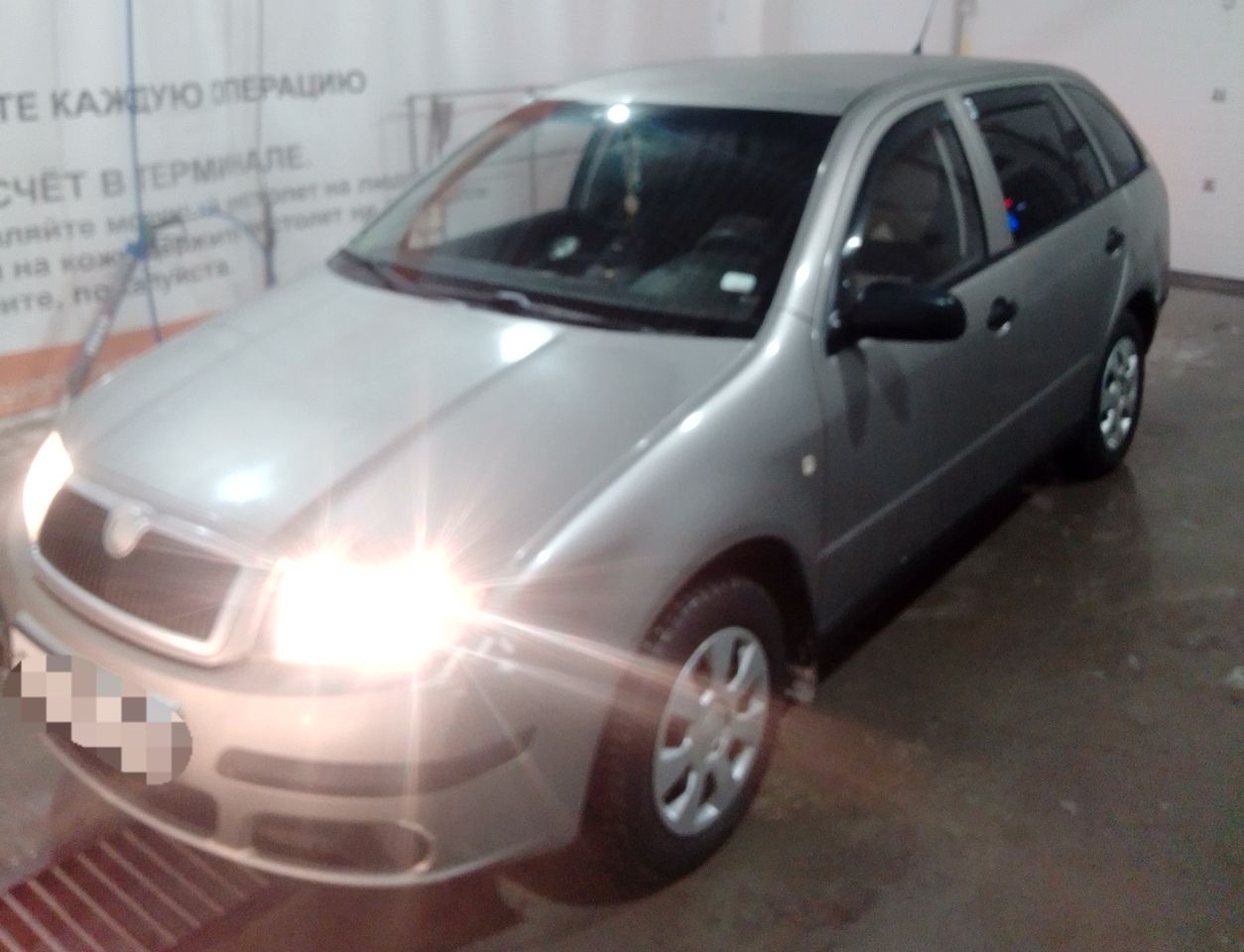 Skoda Fabia: фото владельца