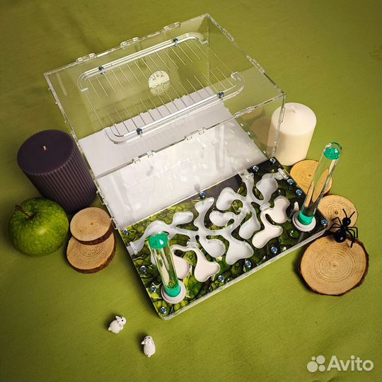 Муравьиная ферма 