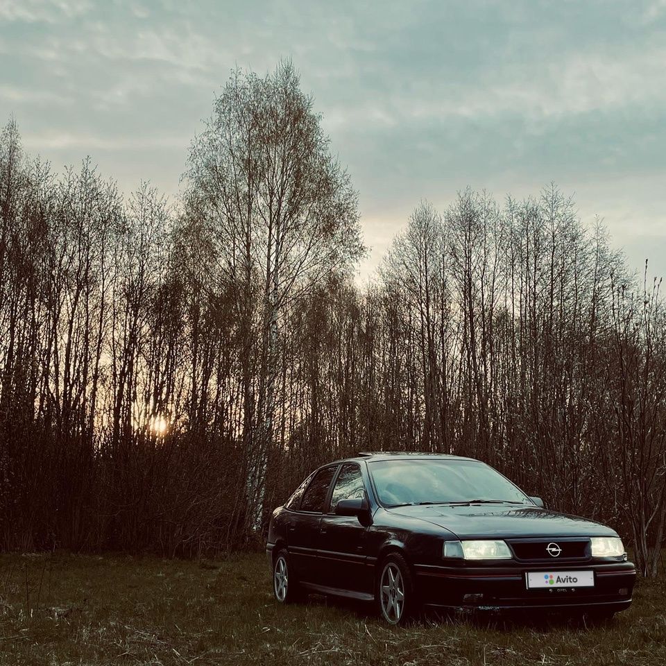 Opel Vectra: фото владельца