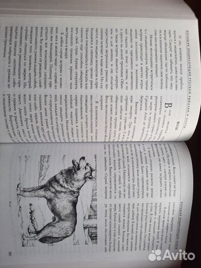 Большая энциклопедия русской рыбалки и охоты