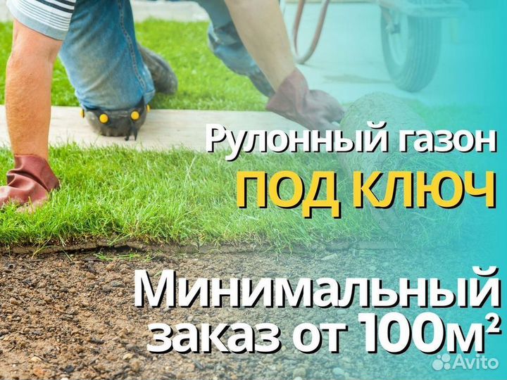 Укладка и продажа рулонного газона