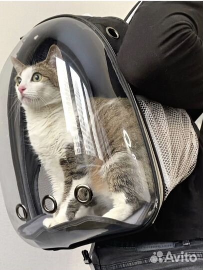 Рюкзак переноска для кошек и собак