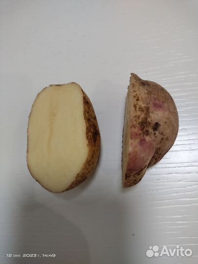 Продам вкусный домашний картофель