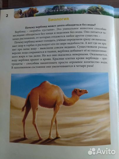 Энциклопедия