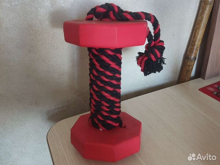 Аппортировка