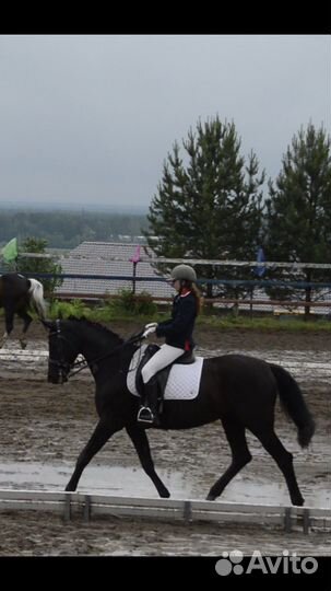 Редингот для конного спорта