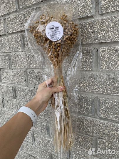 Сухоцветы. Для интерьера