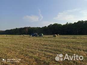 Сено луговое, солома - Ратманово