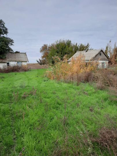 Участок 40 сот. (ИЖС)