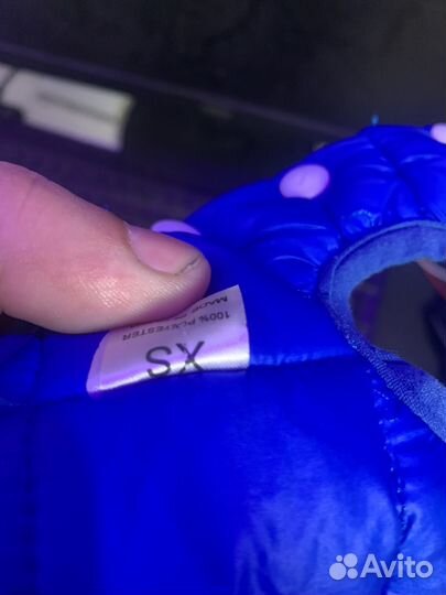 Одежда для маленьких собак