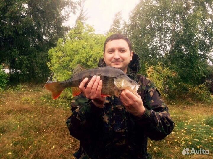 Рыболовный консультант