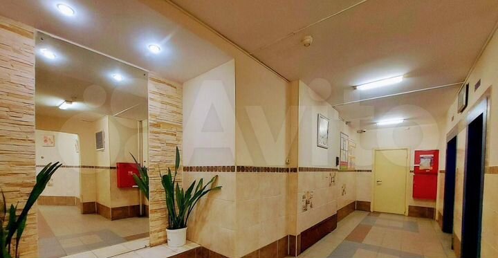 3-к. квартира, 77,2 м², 2/17 эт.