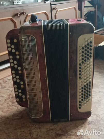 Баян тульский