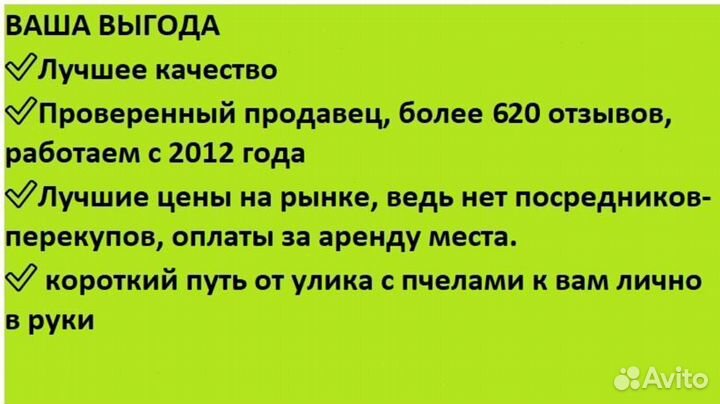 Мед каштановый от пчёл, доставлю Беспл