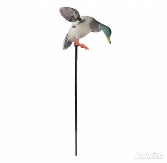 Чучело утки махокрыл