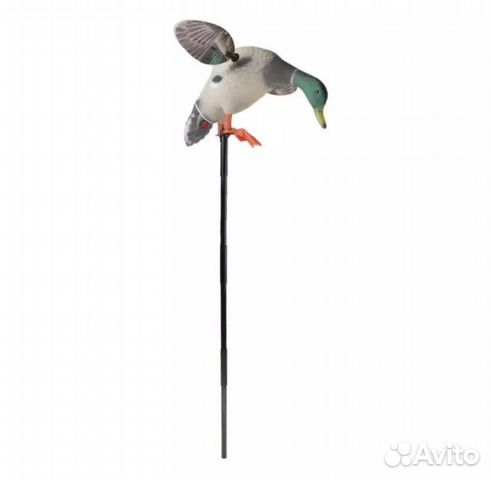 Чучело утки махокрыл