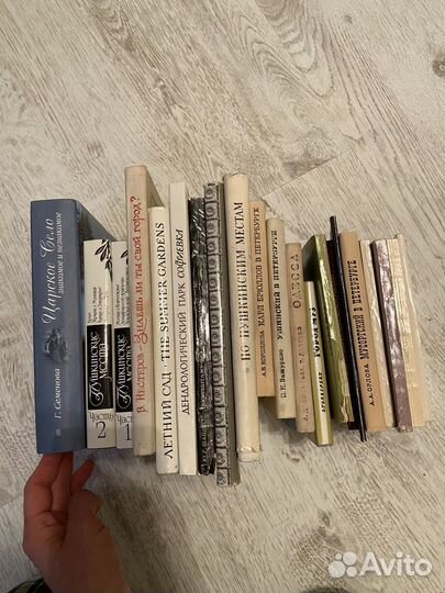 Книги о Пушкине, Петербурге и другие путеводители