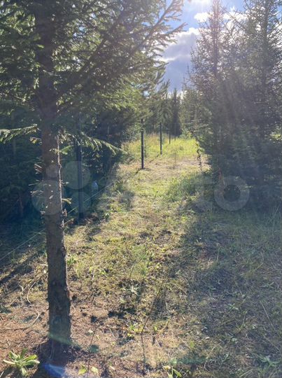 Участок 18,5 сот. (ИЖС)