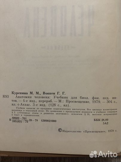 Анатомия человека. Курепина