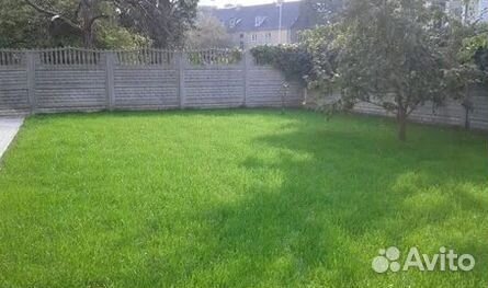 Рулонный газон