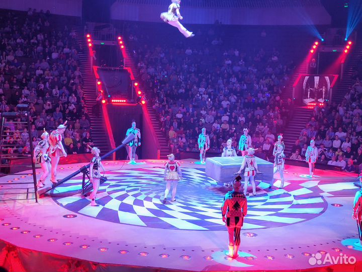 Билеты в Цирк на проспекте Вернадского 25.11.23