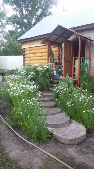 Дом 37,5 м² на участке 24 сот.