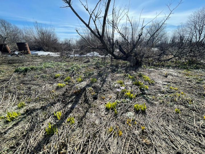 Участок 27 сот. (ИЖС)