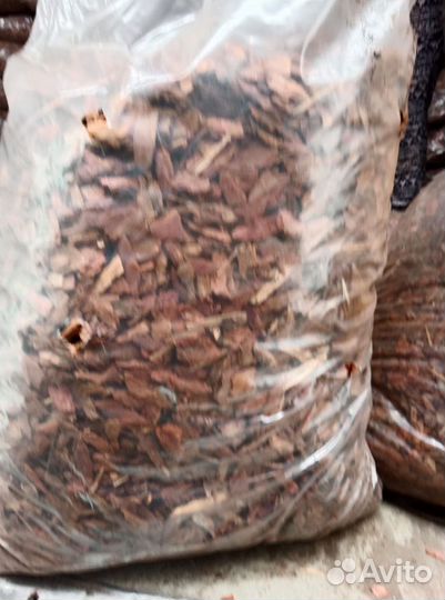 Кора сосновая