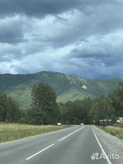 Женский тур в Горный Алтай